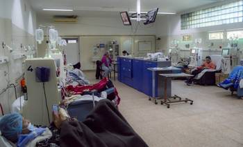 CONICET creó un test digital portátil para detectar la enfermedad renal crónica | Salud