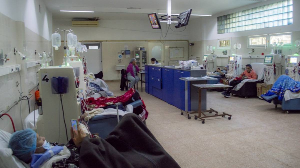CONICET creó un test digital portátil para detectar la enfermedad renal crónica