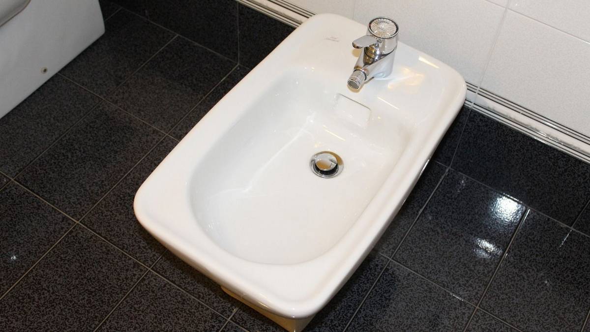 Los gastroenterólogos coincidieron en los beneficios del bidet: "Esto se ha estudiado"
