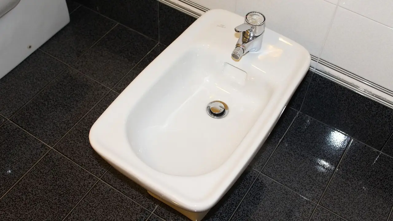 Los gastroenterólogos coincidieron en los beneficios del bidet: "Esto se ha estudiado"