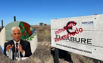 Revés para Poggi: incorporan el robo de USD 2 millones a la causa por El Caburé | San luis