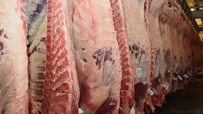 Las exportaciones de carne vacuna crecen 27% en lo que va del año con China como protagonista Las exportaciones de carne vacuna crecen 27% en lo que va del año con China como protagonista