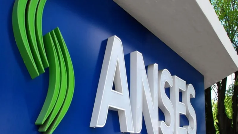 Presentan amparo para que el Gobierno no pueda usar los datos de la ANSES