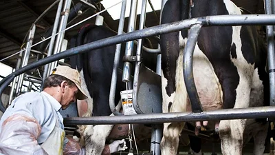 El precio de la leche en Argentina es el segundo más caro del mundo El precio de la leche en Argentina es el segundo más caro del mundo