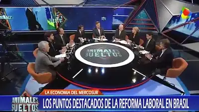 Animales Sueltos defendía la flexibilización laboral pero Romina Manguel salió al cruce Animales Sueltos defendía la flexibilización laboral pero Romina Manguel salió al cruce
