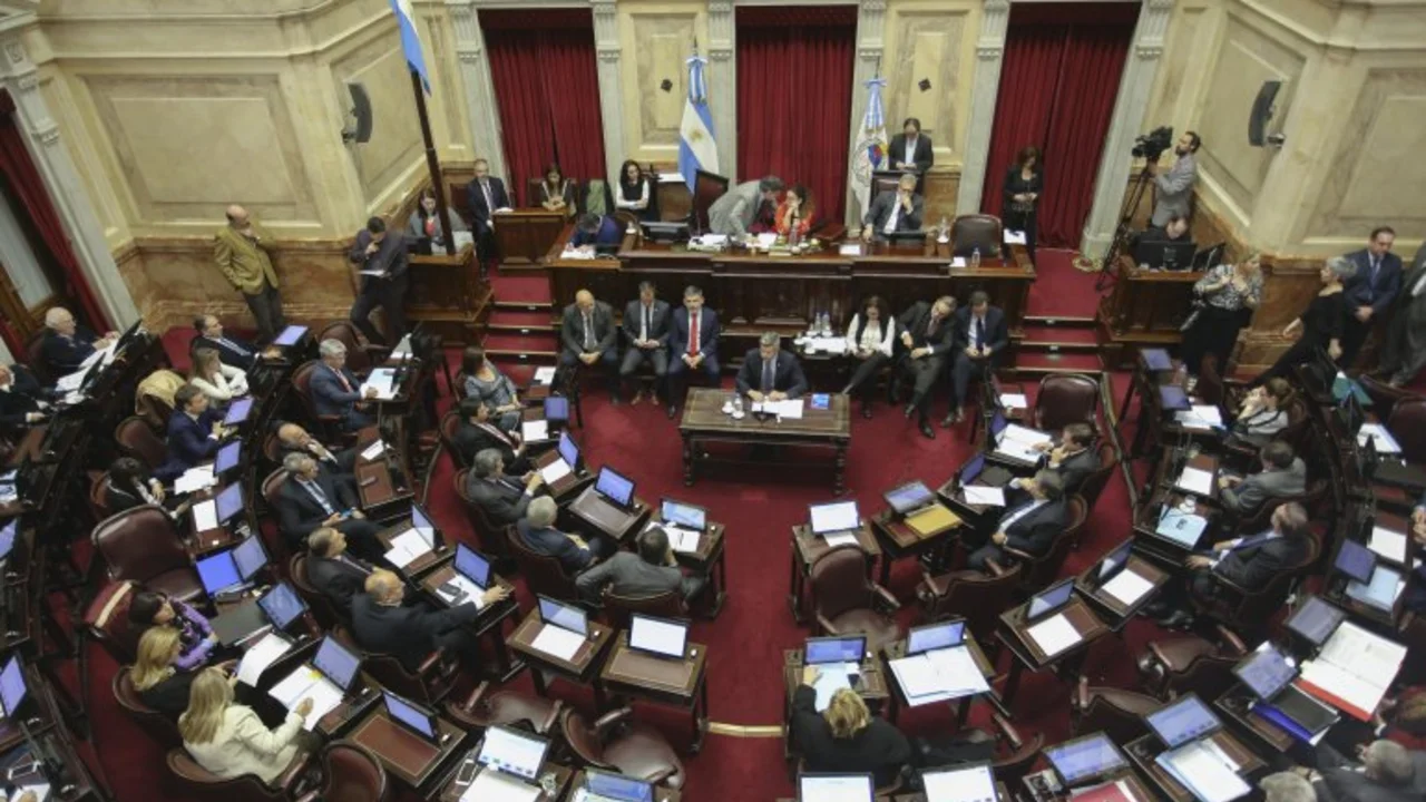 Aborto: con final abierto, comienza el debate en el Senado