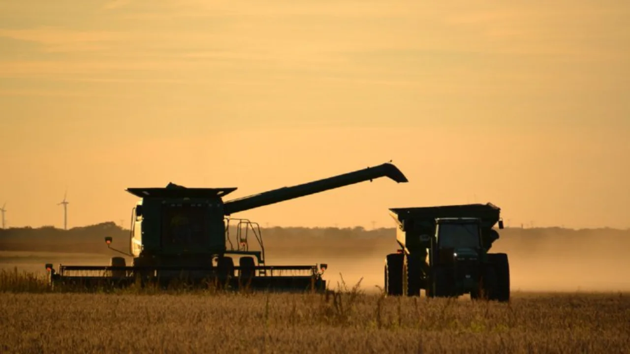 Campo: se perdieron U$S4.200 millones por la sequía