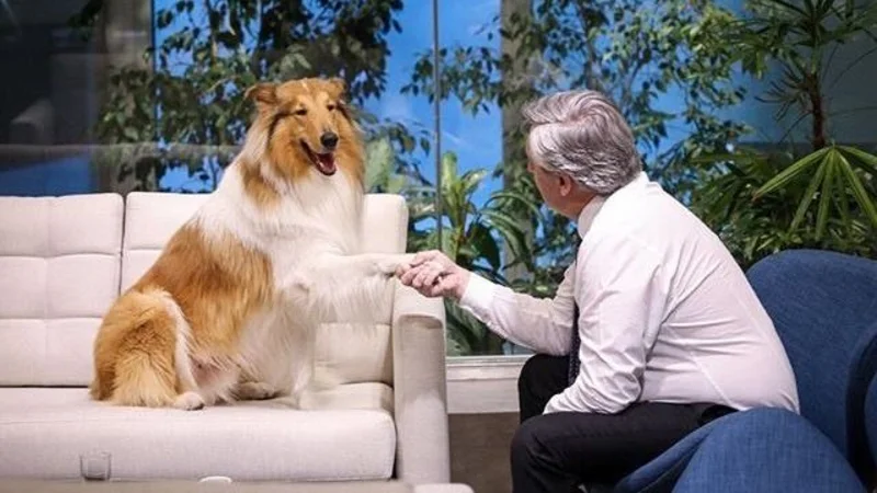 Elecciones 2019: la operación de Lanata para desprestigiar a Alberto Fernández suma a su perro, Dylan