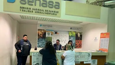 Demoras en los vuelos de Ezeiza por paro de trabajadores de 24 horas Demoras en los vuelos de Ezeiza por paro de trabajadores de 24 horas