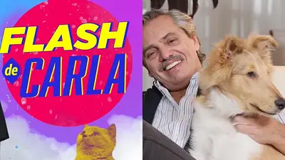El delirante cruce de El Destape con la mascota de Alberto Fernández El delirante cruce de El Destape con la mascota de Alberto Fernández
