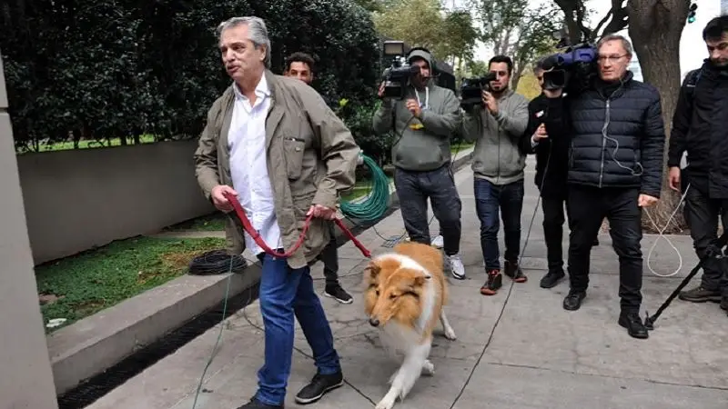La aparición de Dylan Fernández hizo crecer la demanda de collies