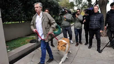 Alberto Fernández volvió a Twitter y respondió si se puede pasear a los perros Alberto Fernández volvió a Twitter y respondió si se puede pasear a los perros
