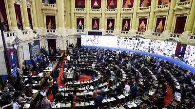 Los insólitos argumentos de los diputados "pro vida" para oponerse al aborto Los insólitos argumentos de los diputados "pro vida" para oponerse al aborto