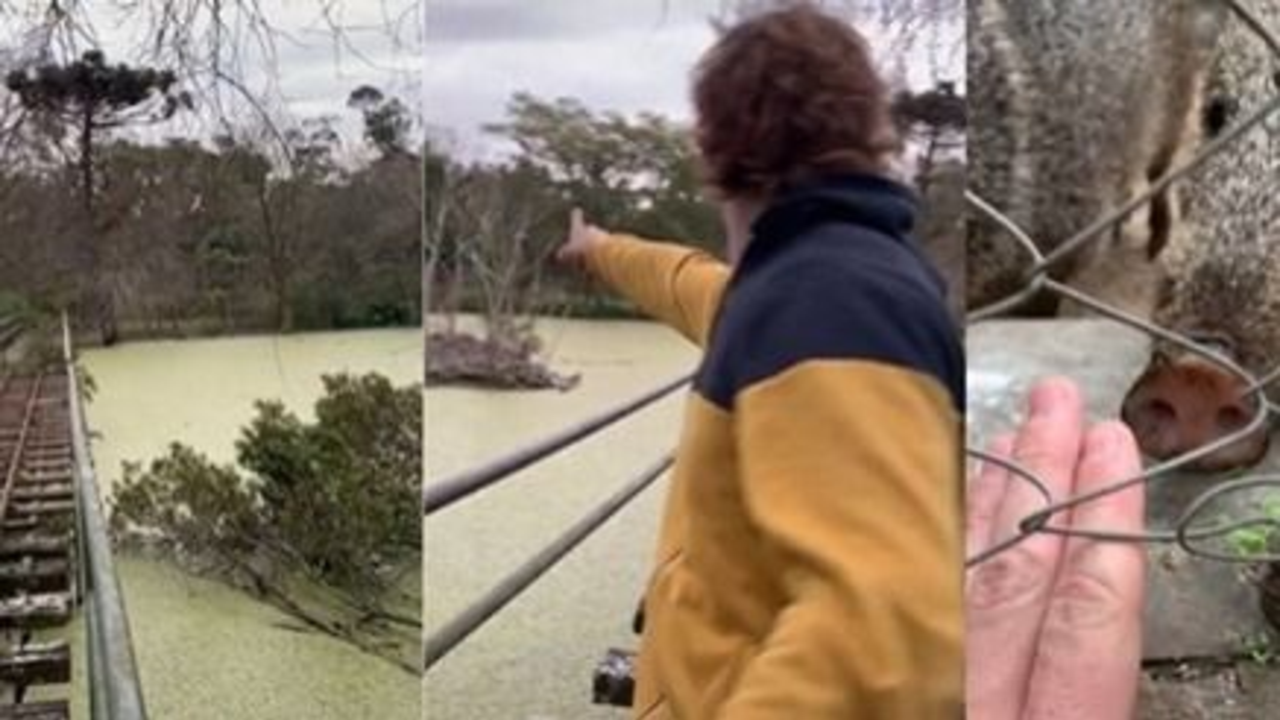 Insólito: rompieron la cuarentena para ir al zoológico y fueron escrachados en vivo