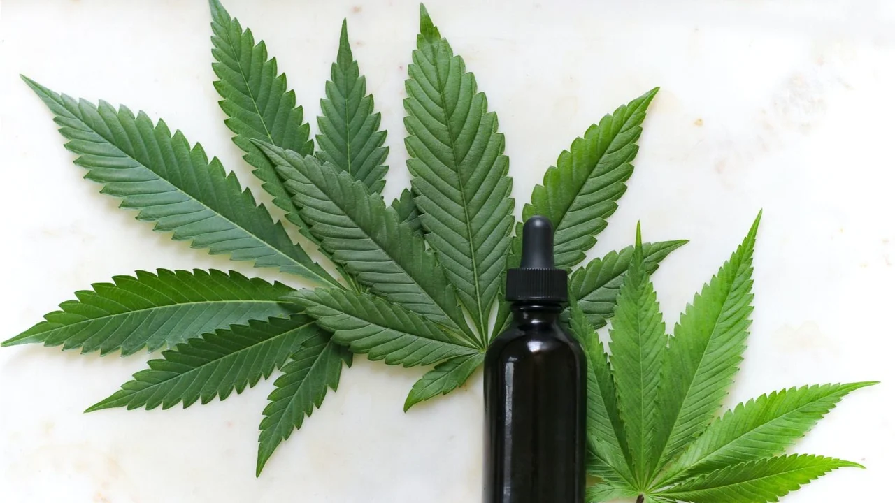 Cannabis medicinal: el gobierno habilitará la venta en farmacias y el cultivo domiciliario