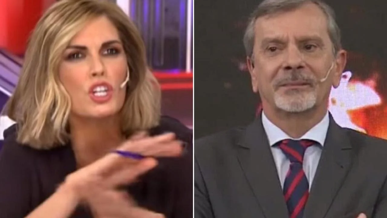 Fernández Llorente destrozó a Viviana Canosa: "No se entiende porque la mayoría de los políticos concurren a ese programa"