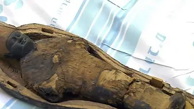 Creían que era la momia de un niño, pero no es humana Creían que era la momia de un niño, pero no es humana
