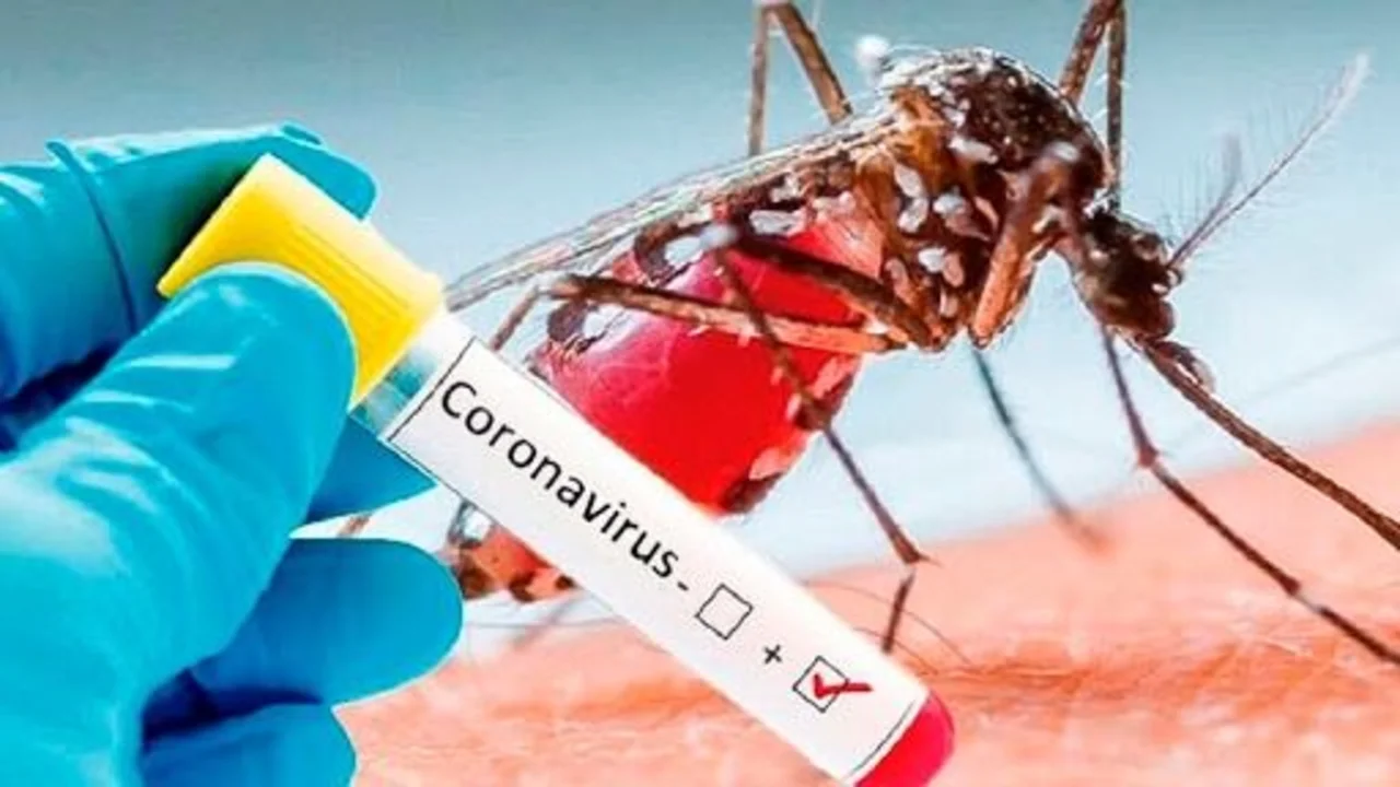 Coronadengue: detectan 13 casos con coronavirus y dengue en la Ciudad