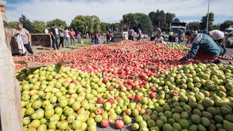 El Gobierno creó un programa de asistencia para productores de peras y manzanas