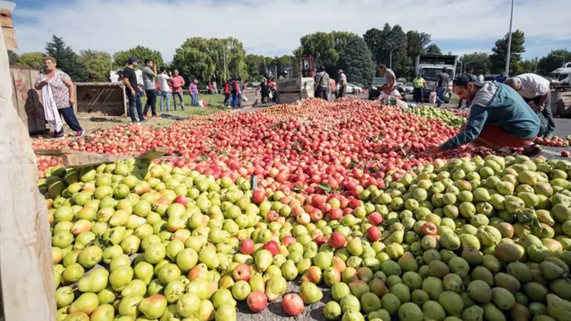 El Gobierno creó un programa de asistencia para productores de peras y manzanas