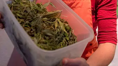 Detuvieron a un hombre por vender "marihuana para llevar" desde su casa Detuvieron a un hombre por vender "marihuana para llevar" desde su casa