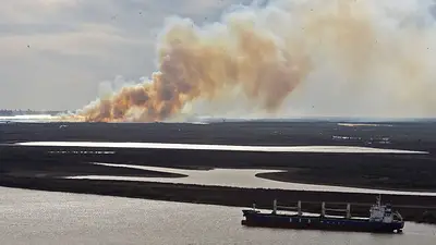 Proponen multas millonarias para quienes dañen Humedales con incendios Proponen multas millonarias para quienes dañen Humedales con incendios