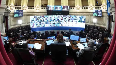 Reforma Judicial: con poca convocatoria a la marcha, el Senado trata el proyecto Reforma Judicial: con poca convocatoria a la marcha, el Senado trata el proyecto