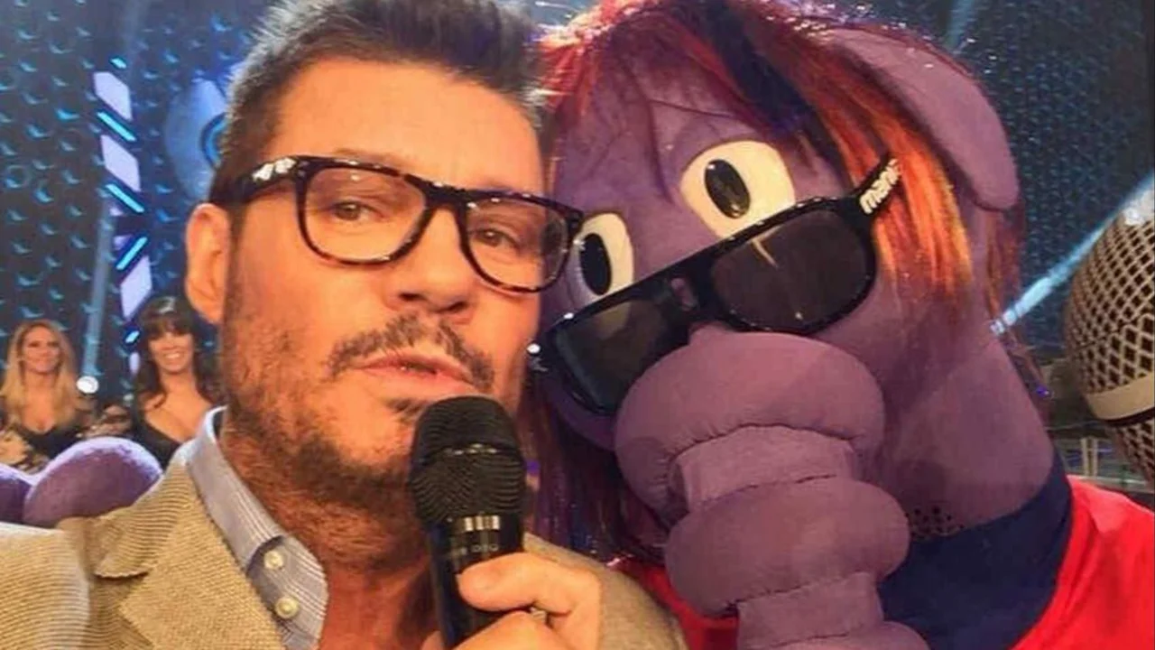 Oso Arturo, ShowMatch, VideoMatch, Marcelo Tinelli, Televisión
