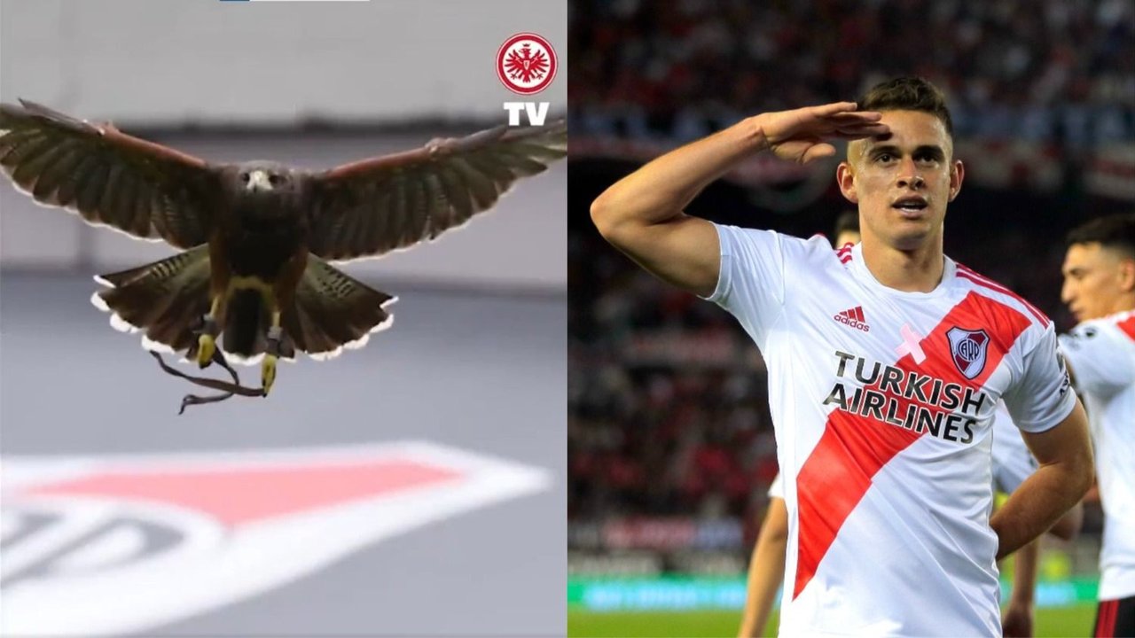 River, Rafael Santos Borré, Eintracht Frankfurt, mercado de pases, fútbol