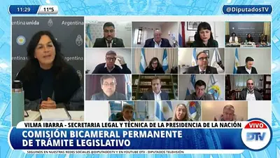 La contundente respuesta de Vilma Ibarra a la oposición en el Congreso: "Esto no es ir al almacén" La contundente respuesta de Vilma Ibarra a la oposición en el Congreso: "Esto no es ir al almacén"
