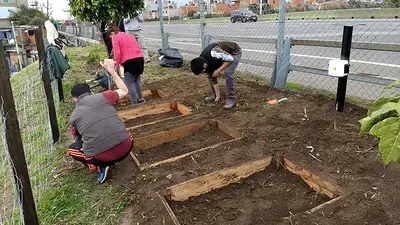 Huertas solidarias Huertas solidarias