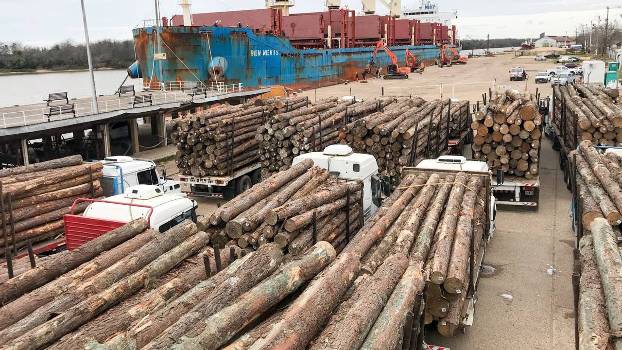 Precio de la Madera