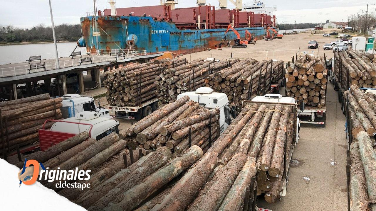 Precio de la Madera