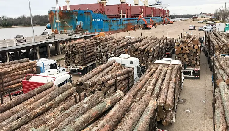 Precio de la Madera