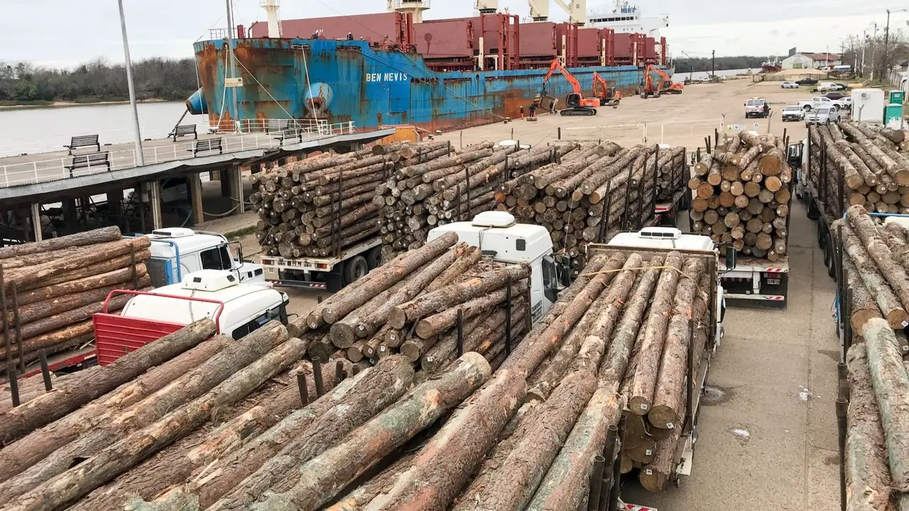Precio de la Madera