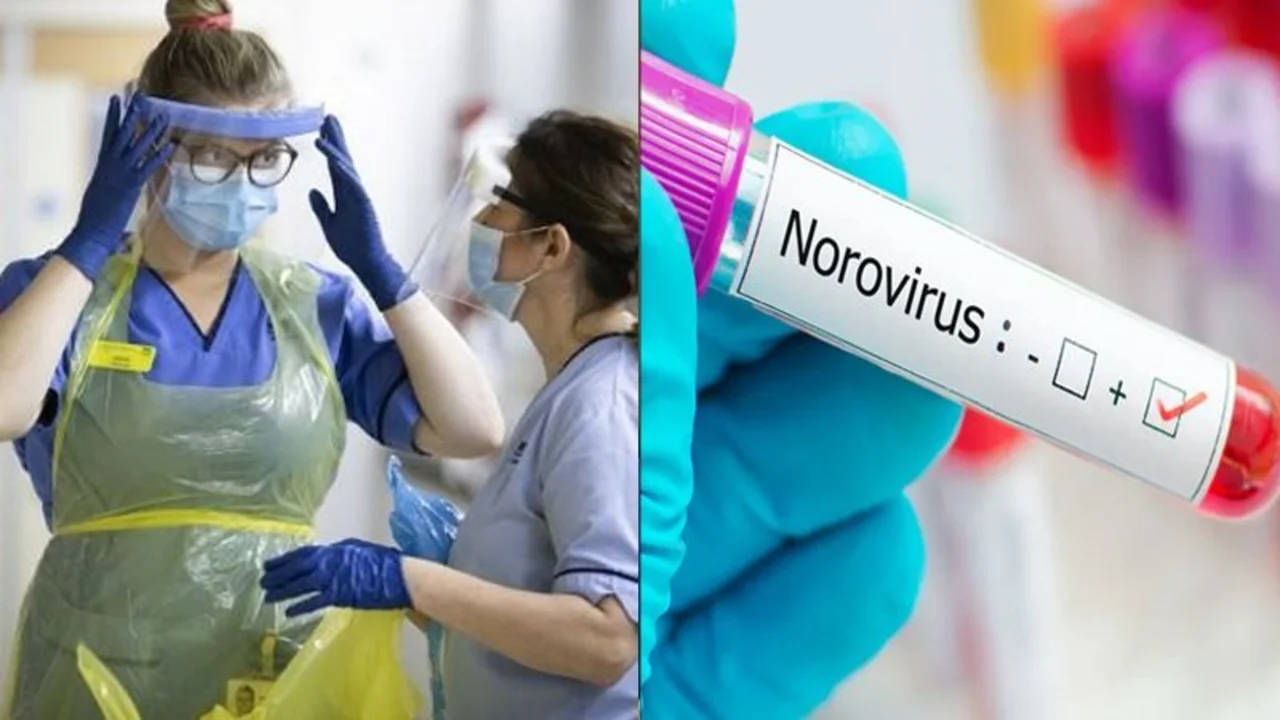 Norovirus, qué es la enfermedad que acecha al Reino Unido