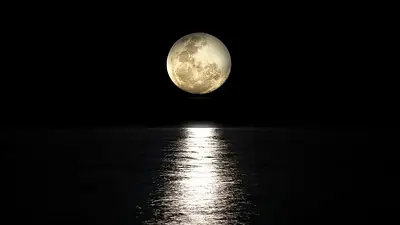 NASA NASA
