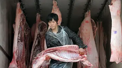 Alerta mundial: China no puede controlar la fiebre porcina, se registran más brotes y nuevas cepas del virus Alerta mundial: China no puede controlar la fiebre porcina, se registran más brotes y nuevas cepas del virus