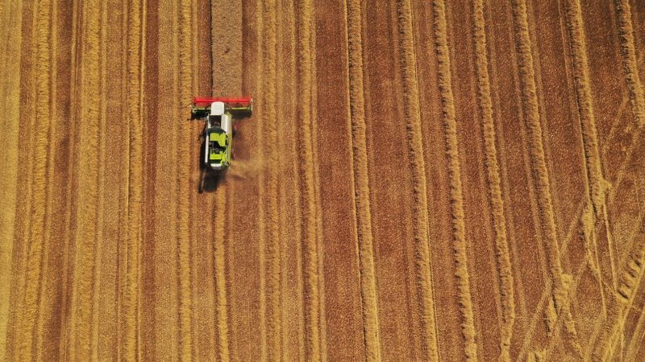 Julián Domínguez afirmó que ley de agroindustria posicionará a la Argentina como "líder agrobioindustrial"