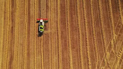 Julián Domínguez afirmó que ley de agroindustria posicionará a la Argentina como "líder agrobioindustrial" Julián Domínguez afirmó que ley de agroindustria posicionará a la Argentina como "líder agrobioindustrial"