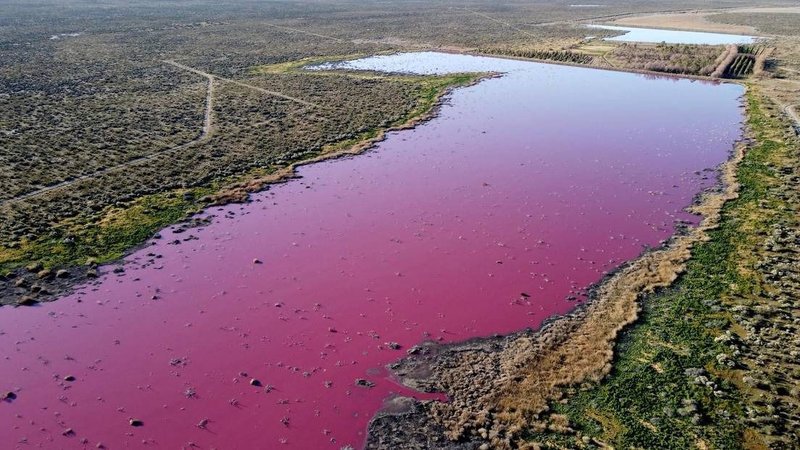 Una laguna se tiñó de rosa en Chubut
