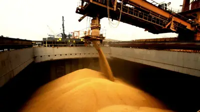 Milei, retenciones, baja de retenciones, agro, campo argentino, agronegocio. Milei, retenciones, baja de retenciones, agro, campo argentino, agronegocio.