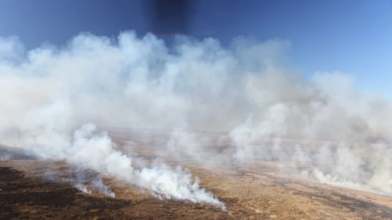Bajante del río Paraná: Ambiente desplegó más brigadistas por la emergencia hídrica