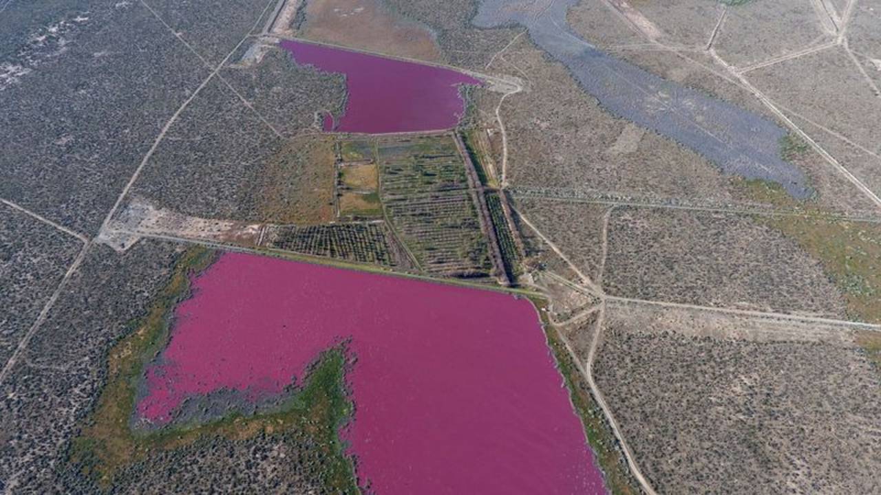 ¿Lagunas rosas? Ambientalistas señalan a pesqueras por insólito color de las aguas en Chubut