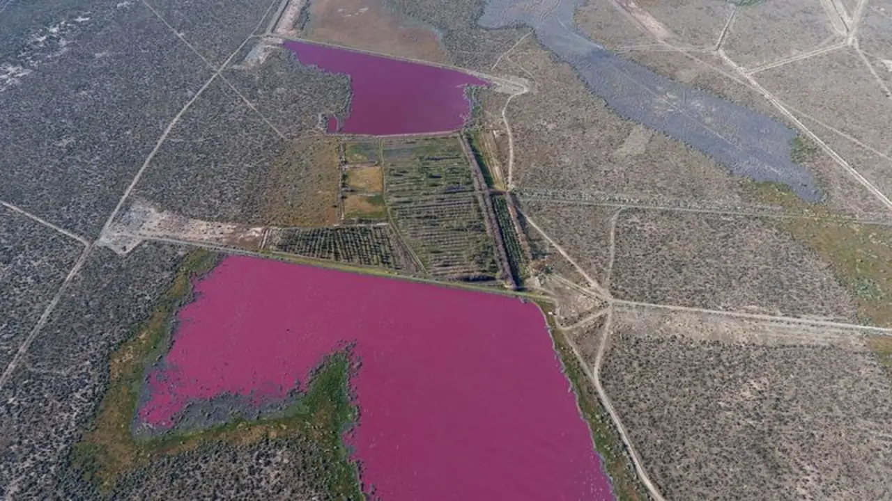 ¿Lagunas rosas? Ambientalistas señalan a pesqueras por insólito color de las aguas en Chubut