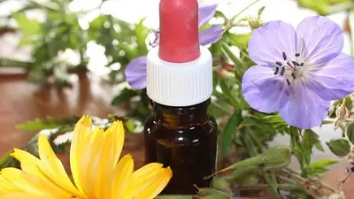 Breve historia de la homeopatía Breve historia de la homeopatía