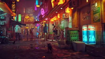 Stray Stray