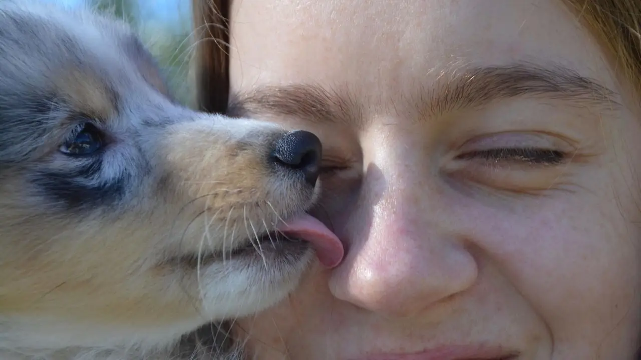Zoonosis