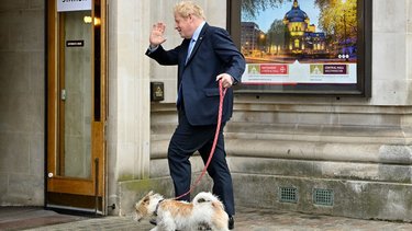 Crisis política en Reino Unido: se va Boris Johnson 