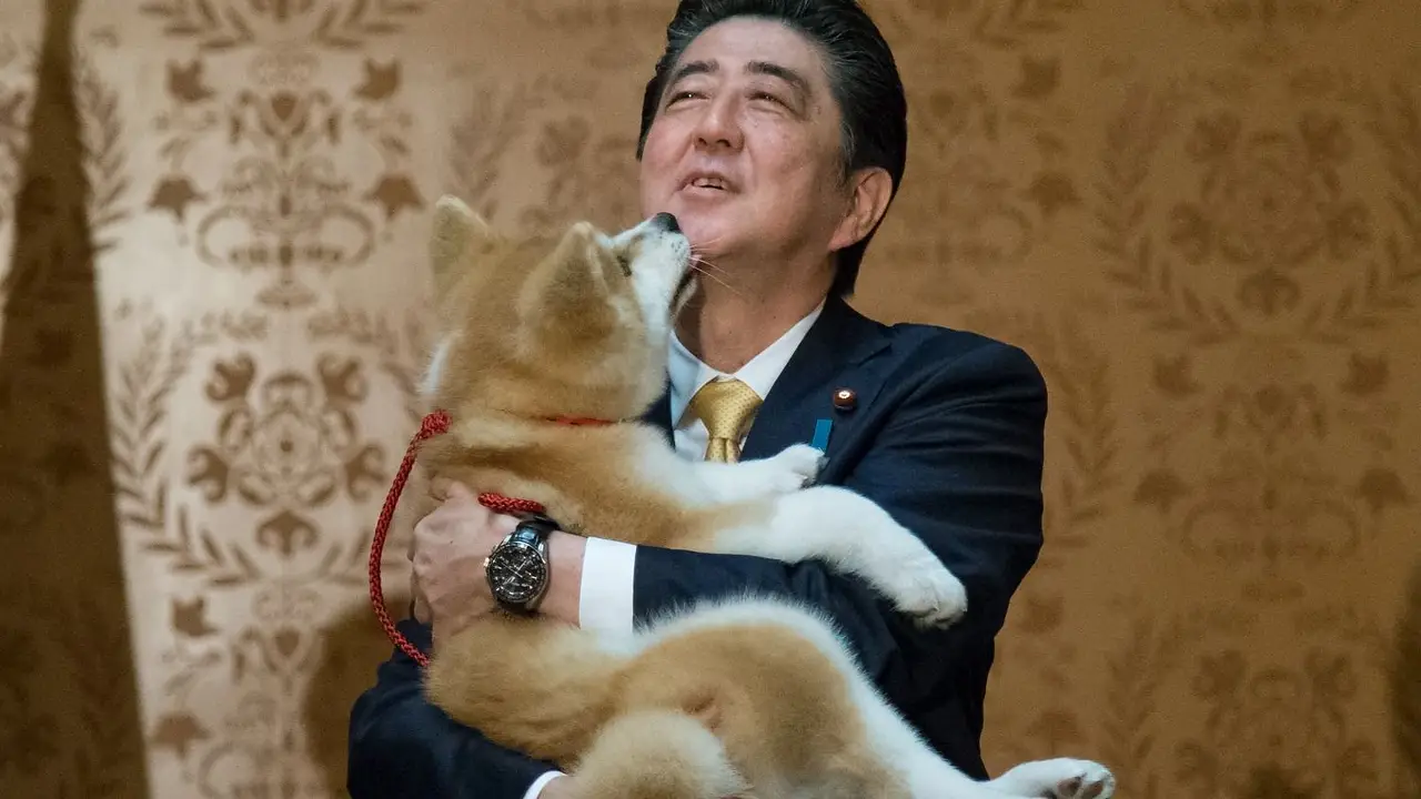 Mataron a Shinzo Abe: Argentina expresó sus condolencias por el crimen del ex primer ministro de Japón